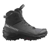 Salomon Herren Crosstrak Powder WP schwarz EU 42.6