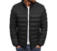 DaDuo Jacke Herren Regular Fit Einfarbig Stehkragen Steppjacke Herren Verdicken Warm Winterjacke Herren Einfachheit Lässig Wind- Und Wasserdicht Jacke Herren