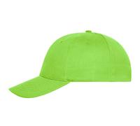 Daiber 6-Panel Kappe aus Bio-Baumwolle MB6236 - Limette