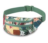 Dakine Unisex Classic Hip Pack Reisezubehör-Geldgürtel, Island Spring