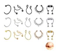 DALAETUS 15 Stück Magnettrenner Nasenring-Set - Edelstahl Fake Nasenpiercing, Fake Septum Ring, Magnetic Nose Clip, Stahlfarbe, Gold, Schwarz, Septum Piercing Schmuck für Damen und Herren