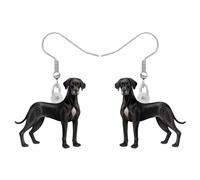 DALANE Acryl Niedlich Labrador Retriever Hund Ohrringe Baumeln Tropfen Welpen Haustiere Schmuck Neuheit Geschenke für Frauen Mädchen Kinder Hundeliebhaber Charms Dekor (Schwarz)
