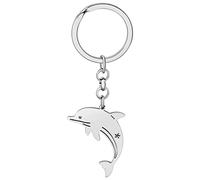 DALANE Edelstahl Schlüsselanhänger Delfin Ozean Fisch Schlüsselring Anhänger Delphin Geschenke Schmuck für Damen Mädchen Kinder