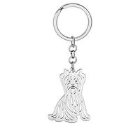 DALANE Edelstahl Süß Schlüsselanhänger Yorkshire Hund Welpe Auto Tasche Schlüsselanbund Hund Schmuck Geschenke für Damen Mädchen