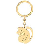 DALANE Edelstahl Süße Katze Schlüsselanhänger Auto Schlüsselanbund Neuheit Schmuck Katze Geschenke für Damen Mädchen (18K Vergoldet D)
