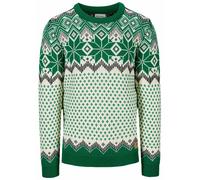 Dale of Norway Herren Vegard Pullover (Größe M, gruen)