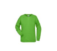 Damen Sweatshirt Raglanärmel "JN8021" - James & Nicholson Lime-Green XS