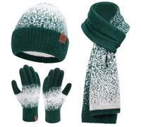 Damen Winter Warm Mütze Touchscreen Handschuhe und Lang Schal Set mit Fleece Gefütterte, Thermo Wintermütze Strickmütze Beanie Winterhandschuhe Strickhandschuhe Schals, Dunkelgrün Weiß