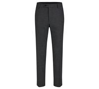 HECHTER PARIS Hose Herren Regular Fit Schurwolle grau, 58