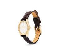 Daniel Wellington Damenuhr Leder Damen