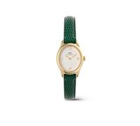 Daniel Wellington Damenuhr Leder Damen