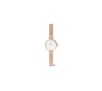 Daniel Wellington Petite Mini Uhr Damen, 19mm Damen Uhr