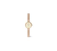 Daniel Wellington Petite Mini Uhr Damen, 19mm Damen Uhr