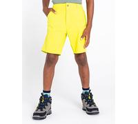 Dare 2b Funktionsshorts "Reprise" in Gelb - Größe 152 | Kinderhosen