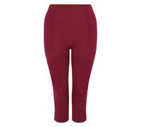 Dare 2B - "In The Zone II" 3/4 Leggings für Damen (Feige) XS
