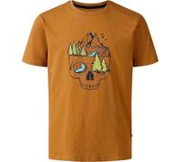 Dare2b Trailblz Iiitee dark cumin (ZJ2) 11-12yrs