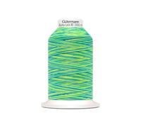 Bauschgarn Bulky-Lock 80 Multicolour, 1.000 m 9968