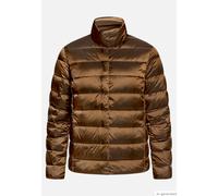 Steppjacke BETTY BARCLAY "Damen mit Stehkragen", Damen, Gr. 42, braun, Obermaterial: 100% Polyamid. Füllung: 90% Daunen, 10% Federn, A-Linie, Jacken Steppjacke (69046554-42) braun