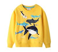 DAWILS Jungen Sweatshirt Baumwolle Fleece Rundhals Pullover Für Kinder Warme Dünne Sportwear Weihnachts Langarm Kapuzenpullover Hemden Jacke Oberteil 92 98 104 110 116 122