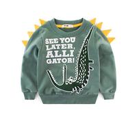 DAWILS Jungen Sweatshirt Baumwolle Fleece Rundhals Pullover Für Kinder Warme Dünne Sportwear Weihnachts Langarm Kapuzenpullover Hemden Jacke Oberteil 92 98 104 110 116 122