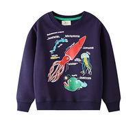 DAWILS Jungen Sweatshirt Baumwolle Fleece Rundhals Pullover Für Kinder Warme Dünne Sportwear Weihnachts Langarm Kapuzenpullover Hemden Jacke Oberteil 92 98 104 110 116 122