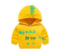 DAWILS Jungen Sweatshirt Baumwolle Fleece Rundhals Pullover Für Kinder Warme Dünne Sportwear Weihnachts Langarm Kapuzenpullover Hemden Jacke Oberteil 92 98 104 110 116 122