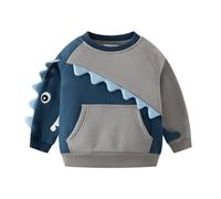 DAWILS Jungen Sweatshirt Baumwolle Fleece Rundhals Pullover Für Kinder Warme Dünne Sportwear Weihnachts Langarm Kapuzenpullover Hemden Jacke Oberteil 92 98 104 110 116 122