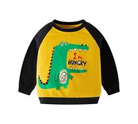 DAWILS Jungen Sweatshirt Baumwolle Fleece Rundhals Pullover Für Kinder Warme Dünne Sportwear Weihnachts Langarm Kapuzenpullover Hemden Jacke Oberteil 92 98 104 110 116 122