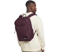 Daypack JACK WOLFSKIN "TERRAVIEW", amaranth, Rucksäcke, Damen, onesize, Polyester (90188439-0) amaranth