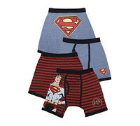 DC Comics Boys Little Batman 2 Pack Vintage Superman Boxer Brief Underwear, Multicolored, 2T/3T