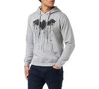 DC Comics Herren Batman Paint Kapuzenpullover, Grau (Grey Spo), L EU