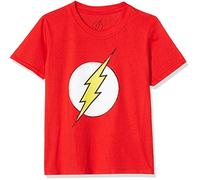 DC Comics Jungen T-Shirt Distressed Flash Logo, Rot (Red), 5-6 jahre (Herstellergröße: S)