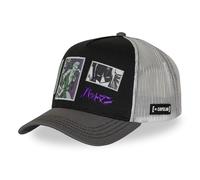 DC Comics Kappe für Damen und Herren, Trucker-Kappe, verstellbar durch Snapback