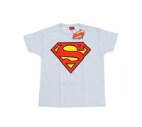 DC Comics - T-Shirt für Herren (Grau meliert) L