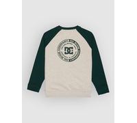 DC Corpo Raglan Crew Kids Sweater ponderosa pine Jungen Gr. T10