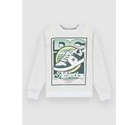 Sweatshirt DC SHOES "Manteca Tribute", Jungen, Gr. 12(148-156cm), grau (light erdgrau), 55% Baumwolle, 25% Baumwolle, 20% Polyester, Sweatshirts (34665431-12) light erdgrau