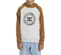 DC Shoes Boy's DC Corpo Raglan PH Boy T-Shirt, Snow Heather/Chipmunk, 140