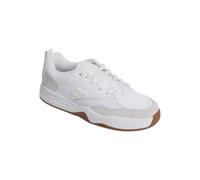 DC Shoes DC Ascend - Laceup Shoes for Men - Schuhe mit Schnürsenkeln - Männer - 44 - Weiss