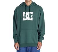 DC Pullover Star Logo Hoody sycamore green M