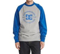 DC Shoes DC Star Pilot - Sweatshirt for Men - Sweatshirt - Männer - M - Grau