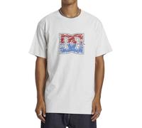 DC Shoes Herren Dc Star Inline HSS T-Shirt