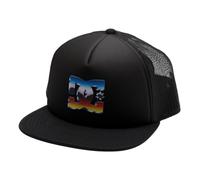 DC Shoes Jungen Baseballkappe Gas Station Trucker Season Boy