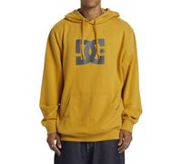 DC Shoes Men's DC Star PH Skateboarding Hoodie, Tinsel, L