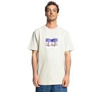 T-Shirt DC SHOES "Metallic Star", Herren, Gr. M, beige (pelican), 75% Baumwolle, 25% Baumwolle, Kurzarm, Shirts (24424217-M) pelican