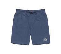 Bermudas DC SHOES "Pallet", Herren, Gr. L, blau (vintage indigo), [Hauptstoff] 80% Baumwolle, 20% Polyester, Hosen (82613332-L) vintage indigo