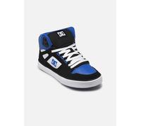 Sneaker DC SHOES "Pure High-Top", Gr. 10(43), blau (schwarz, blau, weiß), Leder-, Nubukleder- und/oder Wildlederobermaterial Mesh-Futter Mit Schaumstoff gepolsterte Zunge und Einstieg für mehr Komfort