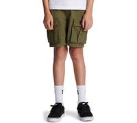 DC Shoes Tundra - Cargoshorts für Kinder Braun