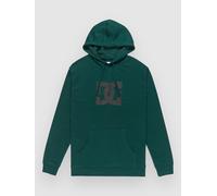 DC Star Hoodie ponderosa pine Herren Gr. M