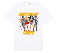 DC Super Friends Birthday Crew Female Super Heroes Comfort Colors Adult Heavyweight T-Shirt