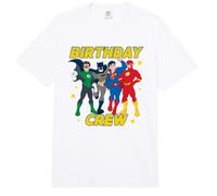 DC Super Friends Birthday Crew Super Heroes Comfort Colors Adult Heavyweight T-Shirt